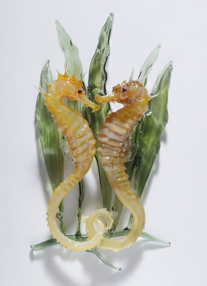 Seahorses on Seagrass