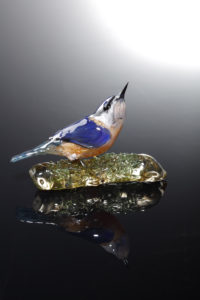 Nuthatch on Glass Branch