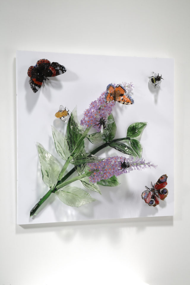 Buddleia, Butterflies and Bees