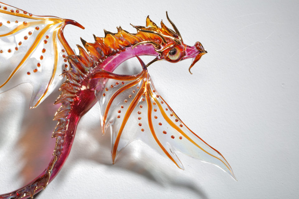 Close up of Small Wall Dragon No Legs