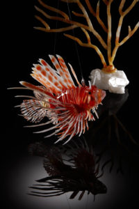 Aquatic Wildlife