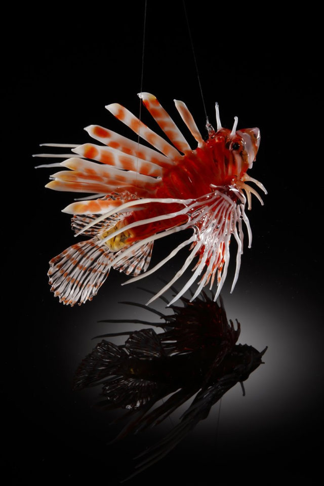 Lionfish