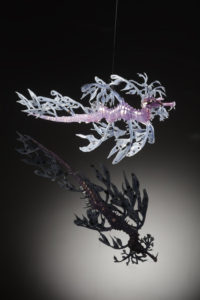 Leafy Seadragon