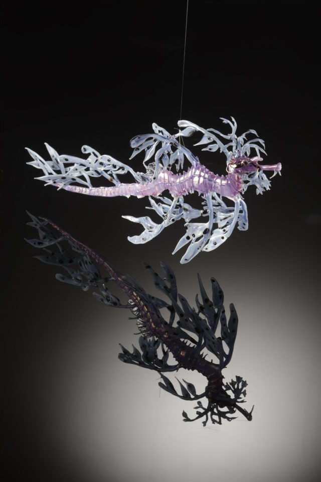 Leafy Seadragon