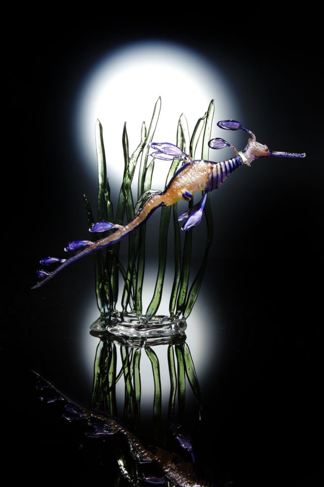 Weedy Seadragon