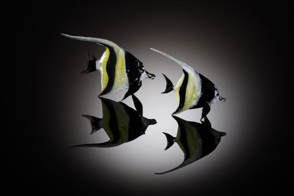 Angel Fish