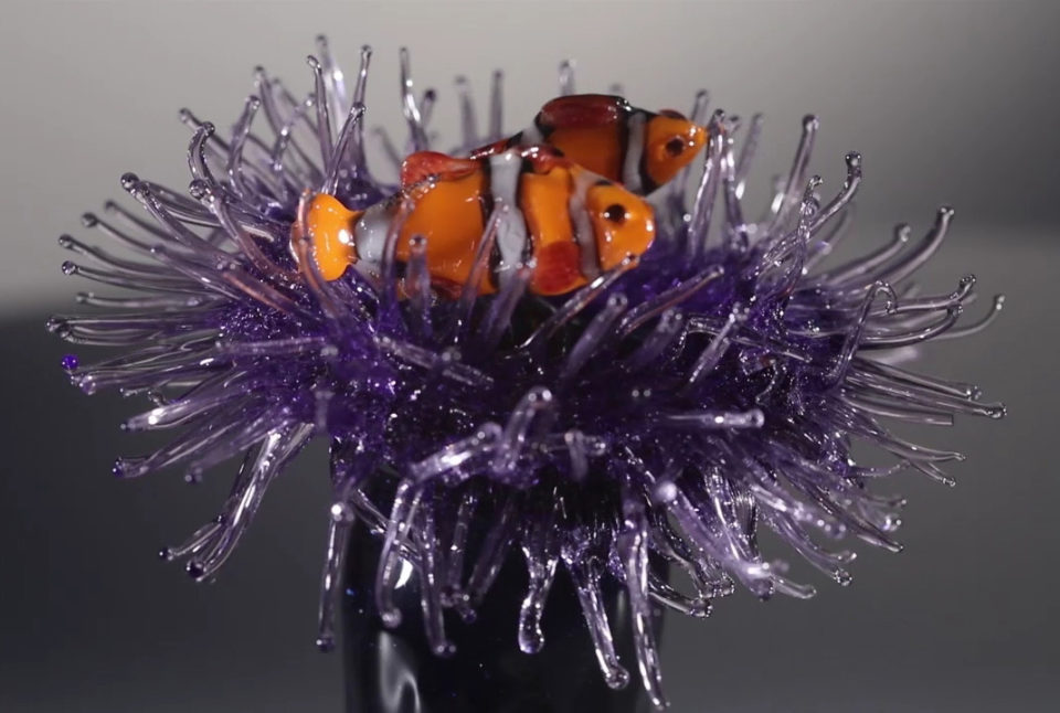 Sea Anemone and Clownfish, on Flint