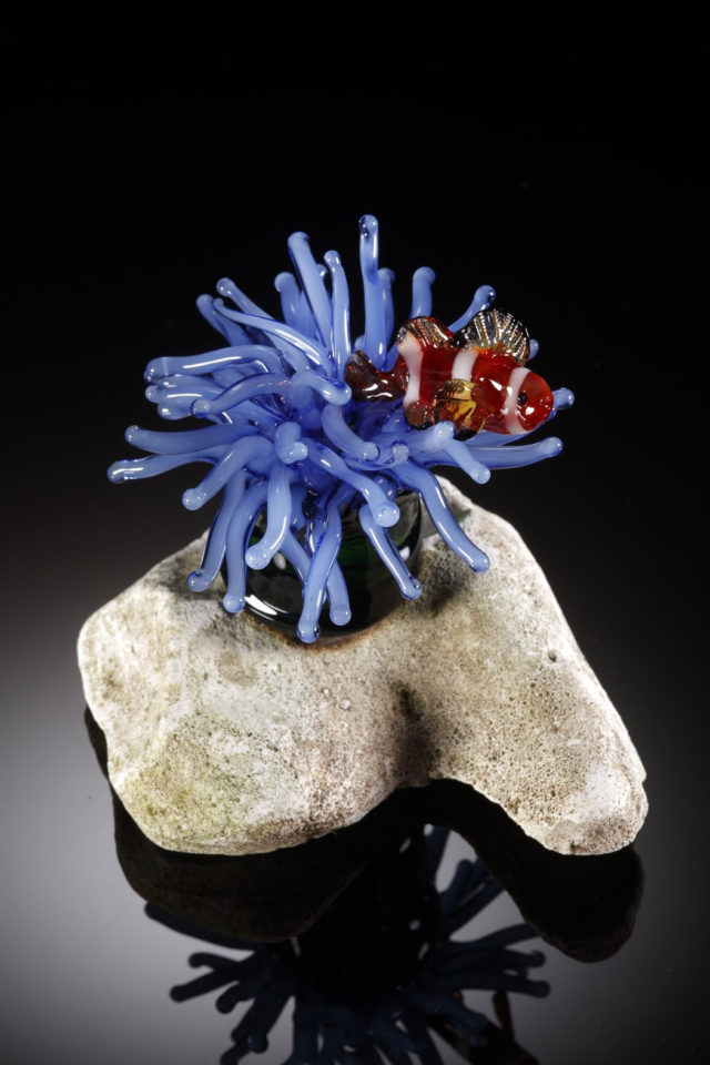 Aquatic Wildlife Image 66