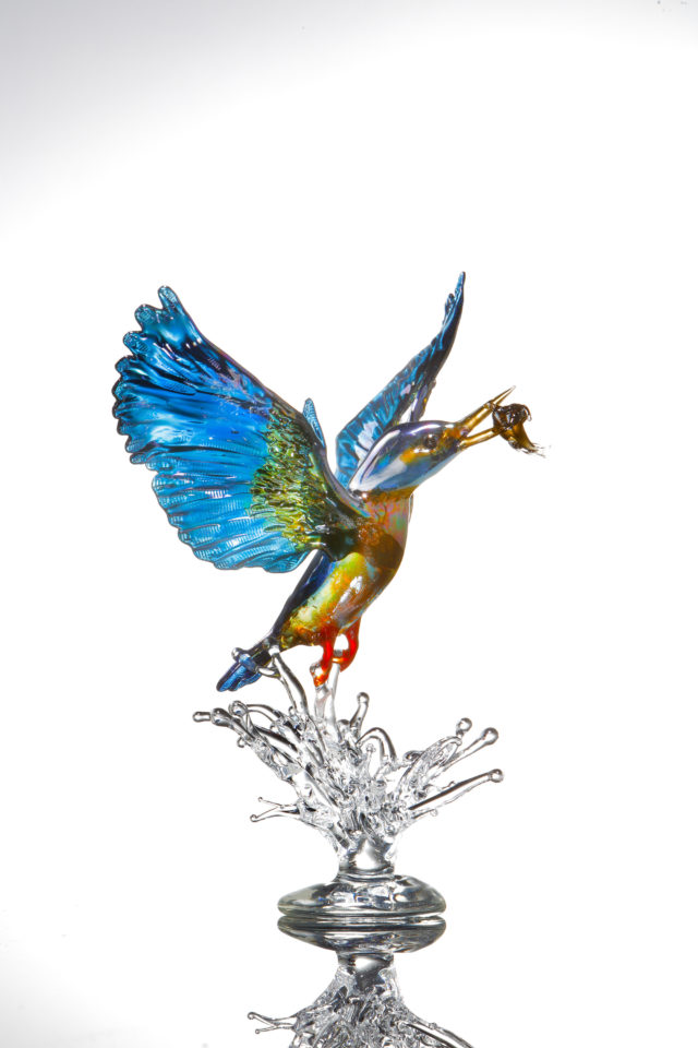 Kingfisher flying up out of water