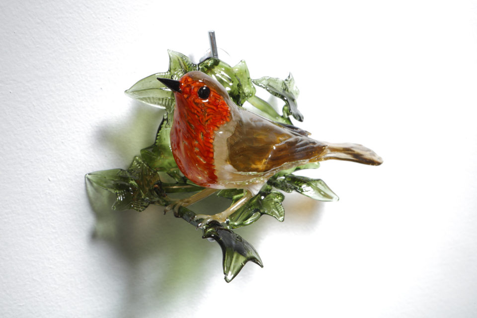 Robin on Ivy