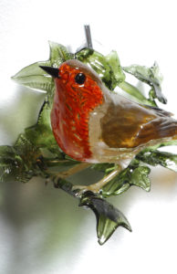 Robin on Ivy