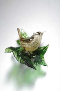 Wren on Ivy