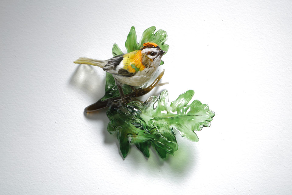 Firecrest on Oak Sprig