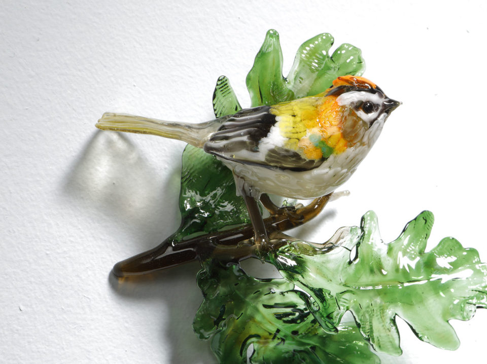 Birds Image 30