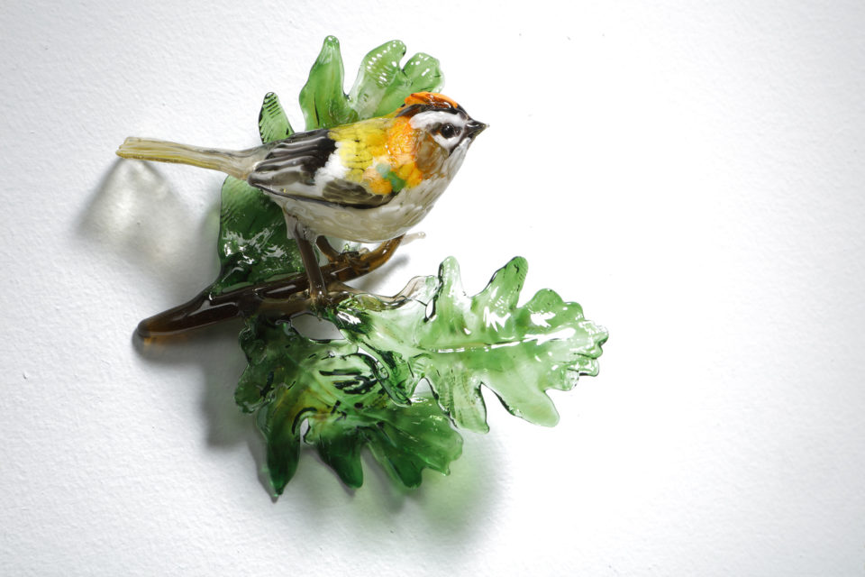 Firecrest on Oak Sprig