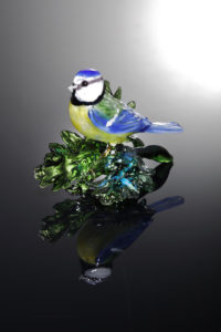 Bluetit on Oak