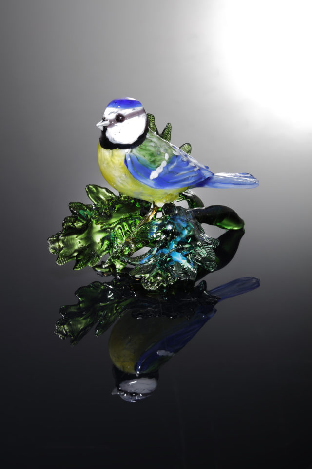 Bluetit on Oak