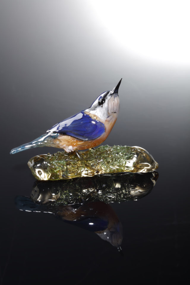 Nuthatch on Glass Branch