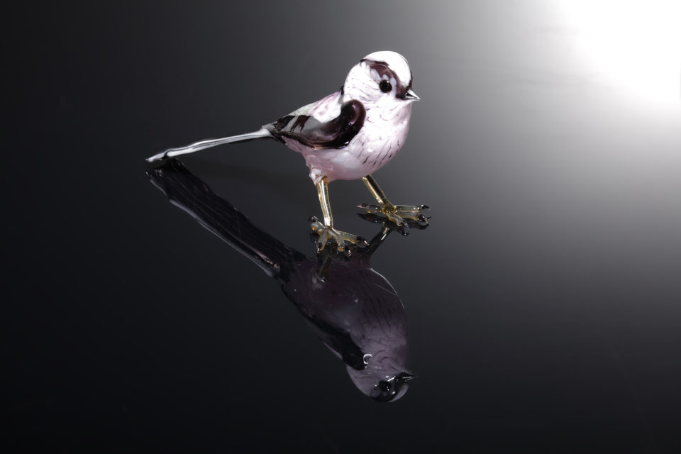 Long Tailed Tit