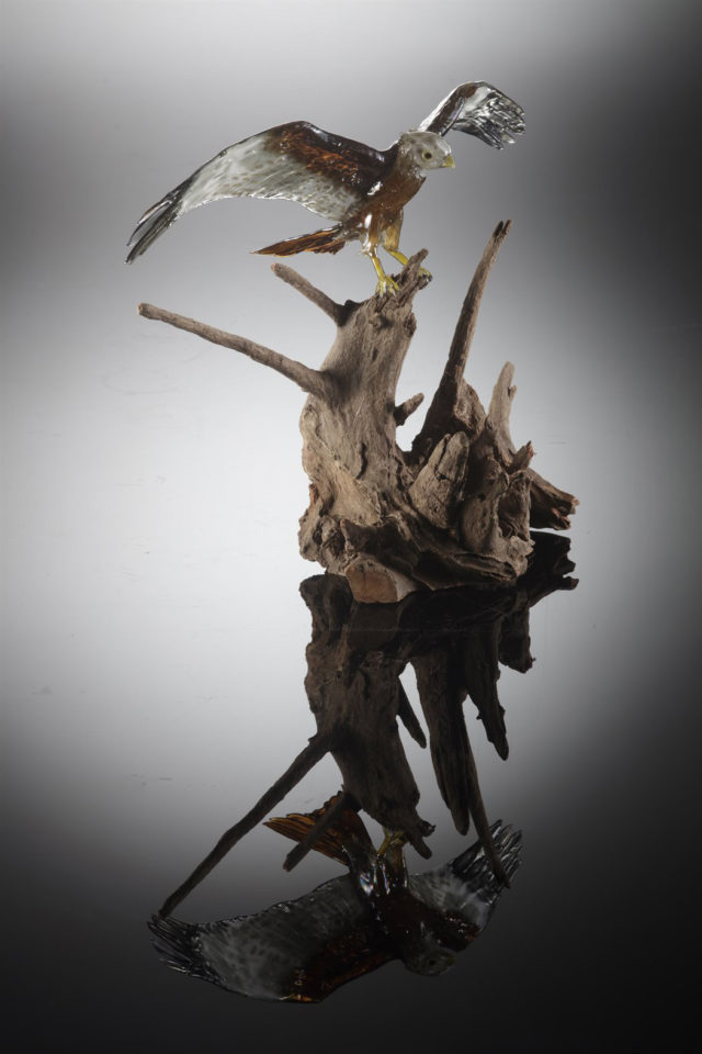 Red Kite