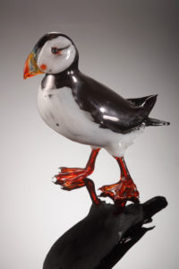 Puffin