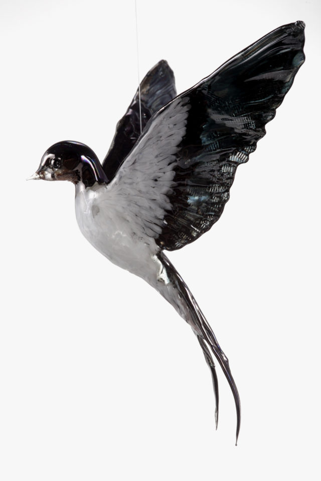 Flying Swallow