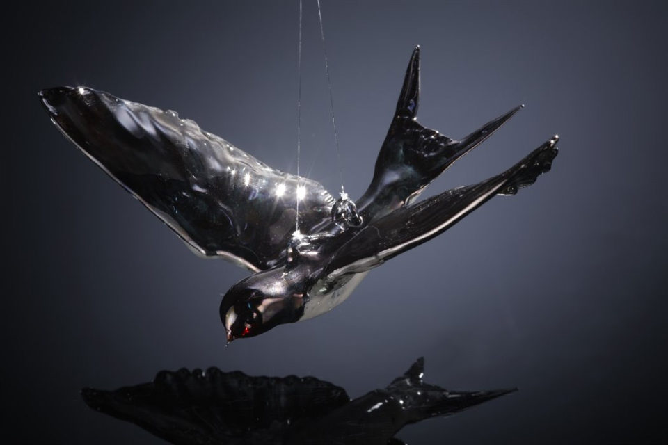 Flying Swallow