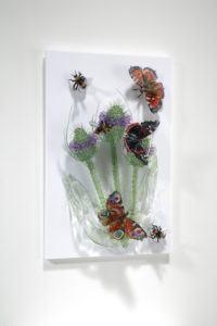Teasels, Butterflies and Bees