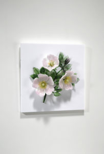 Wild Roses
