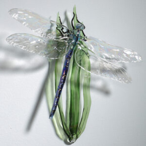 Dragon Fly on Grasses