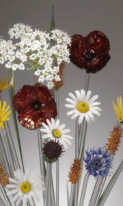Group of Long Stem Wild Flowers
