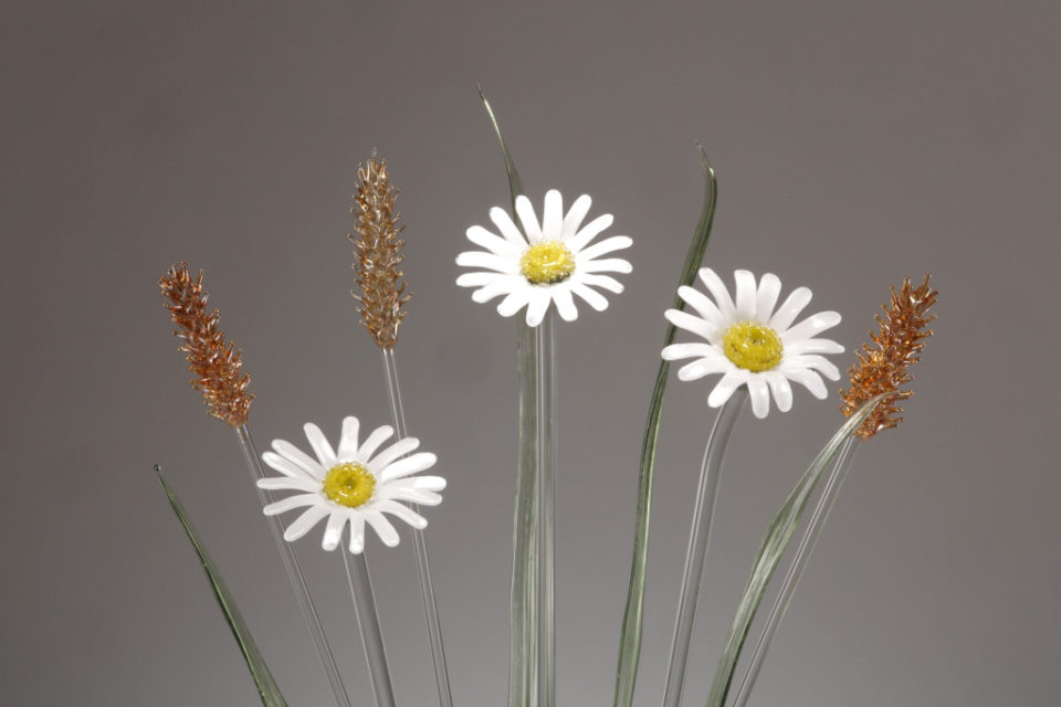 Daisies and Wheat Ears