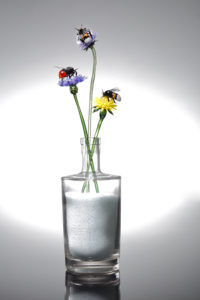 Small Flowers and Bees