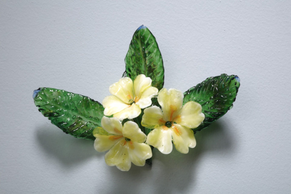 Primrose