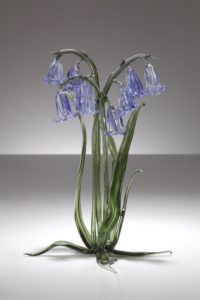 Bluebells