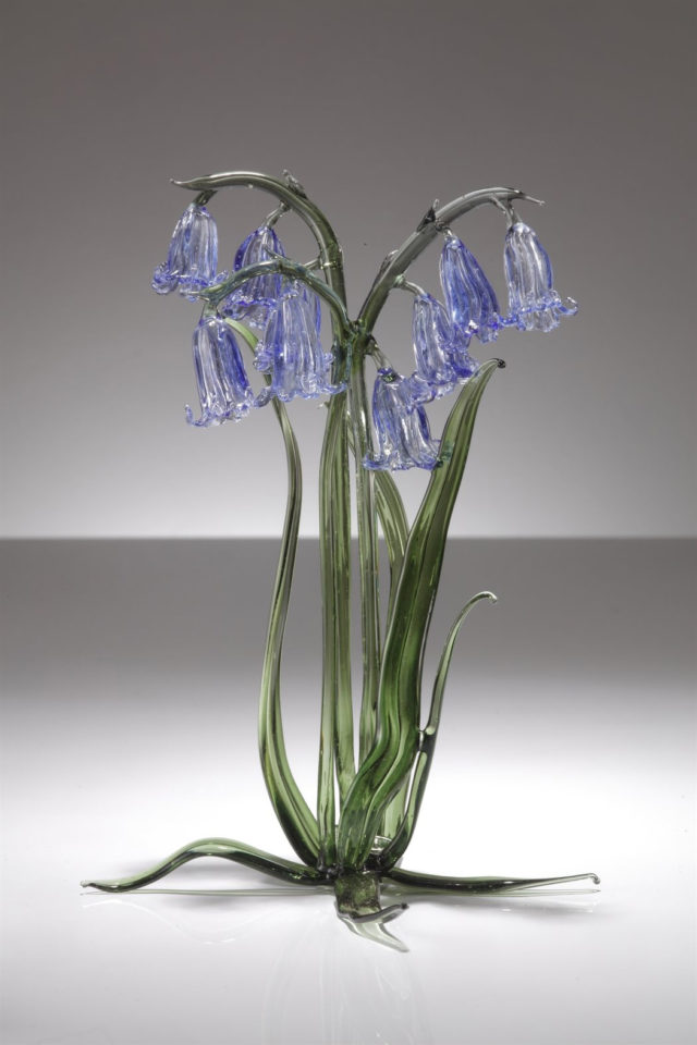 Bluebells