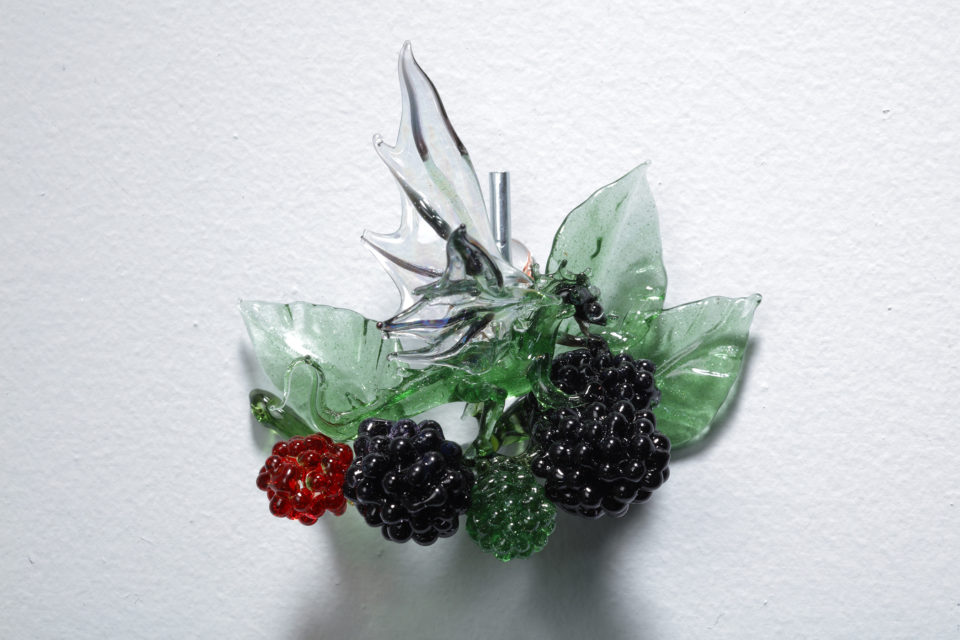 Mini Dragon with Blackberries