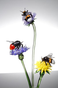 Bees on Flowers