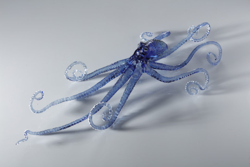 Commissions. Blue Octopus