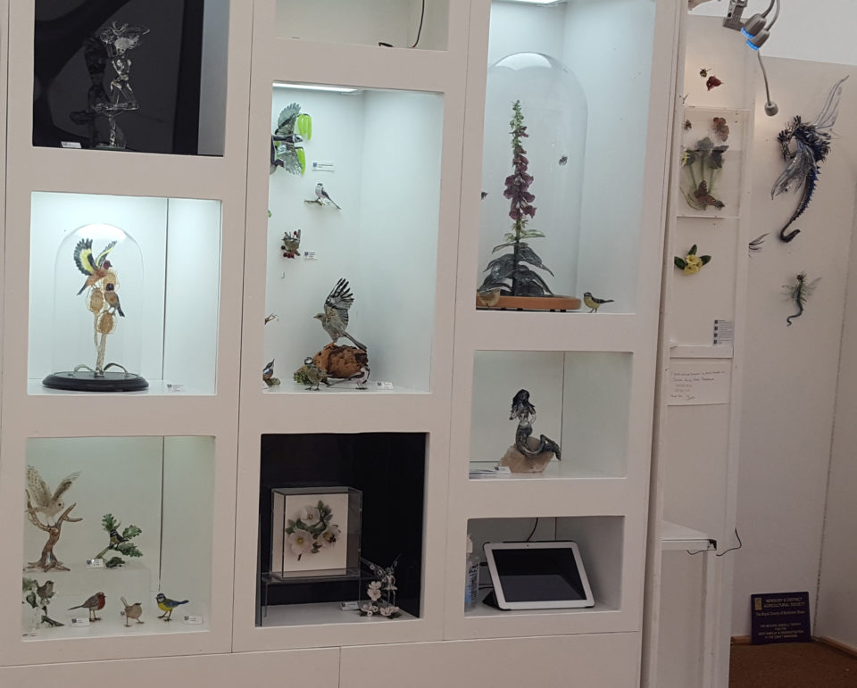 Exhibitions Image 131